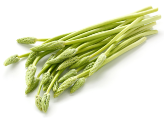 Asperge sauvage