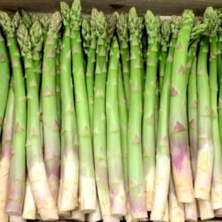 Asperge verte
