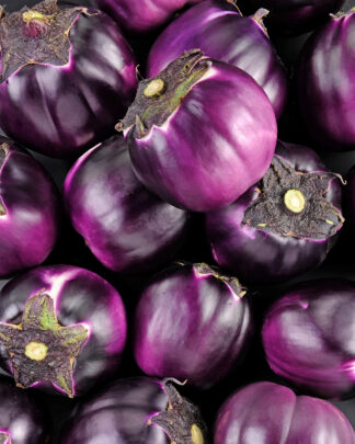 Aubergine ronde