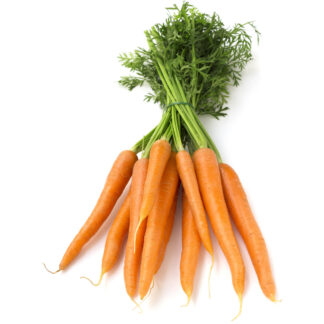 Carotte fane (la botte)