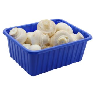 Champignon de Paris (barquette)