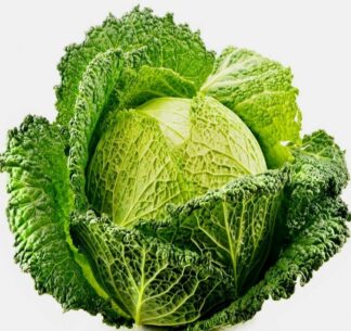Chou vert