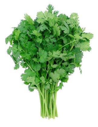 Coriandre (botte)