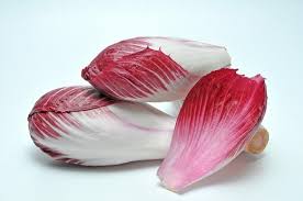 Endive rouge
