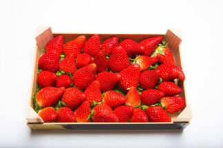 Fraise (barquette 1 Kg)