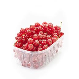 Groseille (barquette 125 Gr)