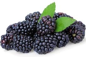 M?re (barquette 125 Gr)