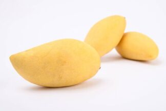 Mangue blanche
