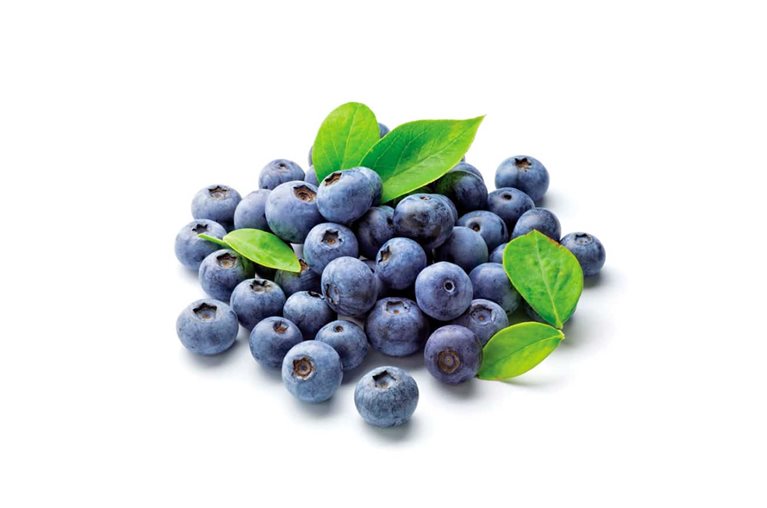 Myrtille (barquette 125 Gr)