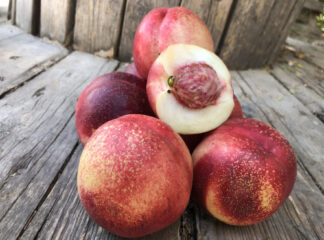 Nectarine blanche France