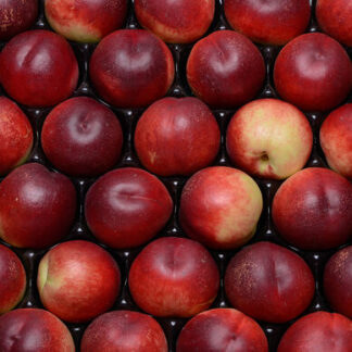 Nectarine blanche vrac