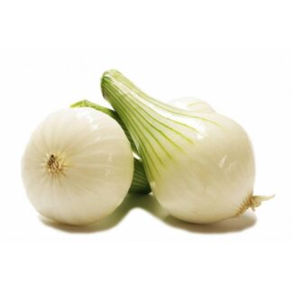 Oignon frais
