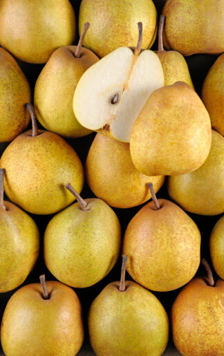 Poire Passe Crassane