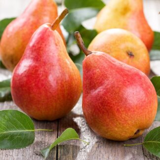 Poire William?s rouge