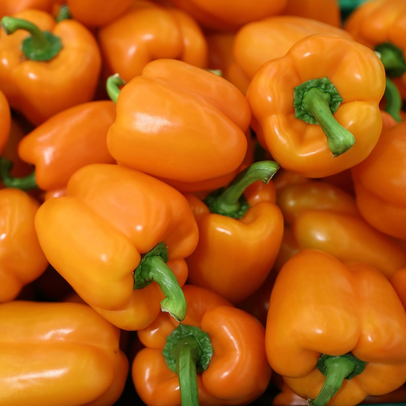 Poivron orange