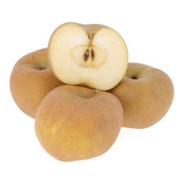 Pomme Canada Gris