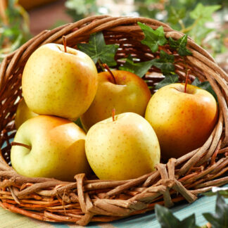 Pomme Golden tentation