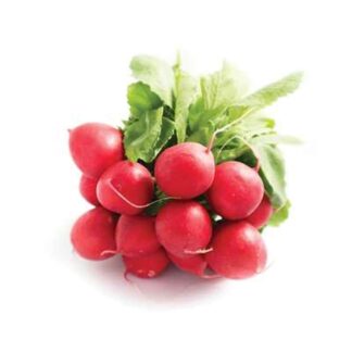 Radis rond (botte)