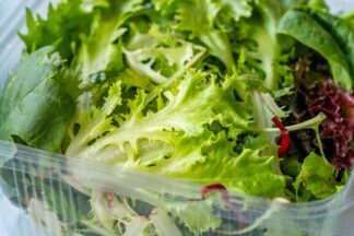 Salade Mesclun (barquette)