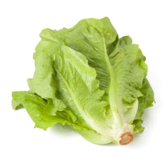 Salade Romaine