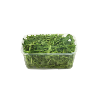 Salade Roquette (barquette)