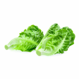 Salade c?ur de romaine (sachet)