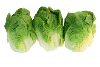 Salade c?ur de sucrine (sachet)