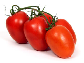 Tomate Roma grappe