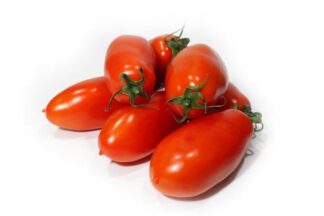 Tomate Torino