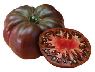 Tomate noire