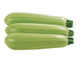 Courgette blanche