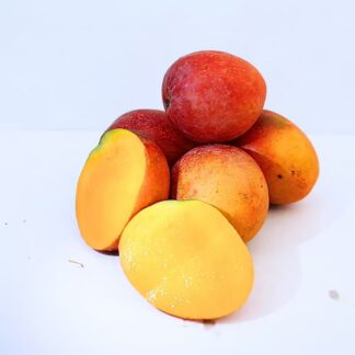 Mangue mini