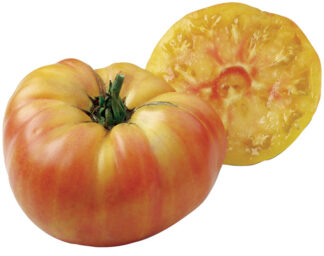 Tomate Ananas