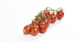 Tomate cerise papriton